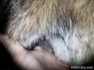 Close-up zoophile fuck video that you will totally love