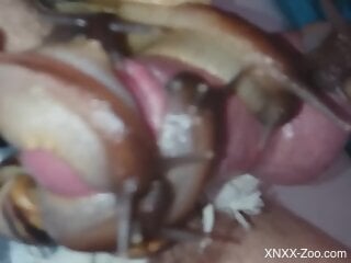 Incredible zoophile penis pleasured by sexy snails