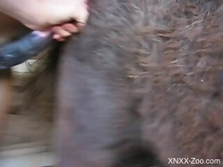 Man plays with the horse's cock in naughty jerk off kinks