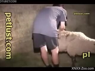 Sheep fucker is going to make the beast SCREAM
