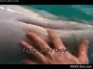 Horny male tries underwater zoophilia sex with a dolphin