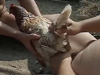Free bestiality and zoophilia porn