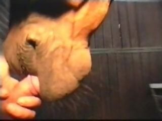 Zoo porn and zoo sex video